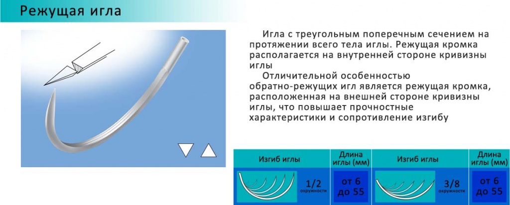 Regushaya-1.jpg